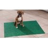 Pissa-alusta Drymate Potty Pad Green