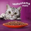Whiskas 1+ gravy 40x85 g