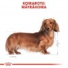 Royal Canin Dachshund Wet 12x85g