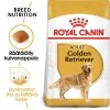 Royal Canin Golden Retriever Adult 12 kg