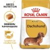 Royal Canin Dachshund Adult