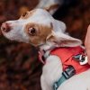 Ruffwear Hi & Light valjaat, Salmon Pink