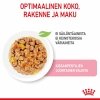 Royal Canin Kitten Jelly, 12x85g