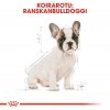 Royal Canin French Bulldog Puppy