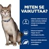 Hills Prescription Diet Feline k/d Kidney Care Tuna