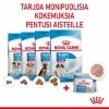 Royal Canin Starter Mother & Babydog