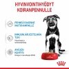 Royal Canin Maxi Puppy Wet 10x140g