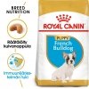 Royal Canin French Bulldog Puppy