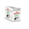 Royal Canin Digestive Care wet 12 x 85 g