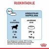 Royal Canin Giant Puppy