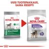 Royal Canin Mini Sterilised