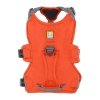 Ruffwear Web Master valjaat koiralle, oranssi