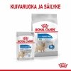 Royal Canin Mini Light Weight Care