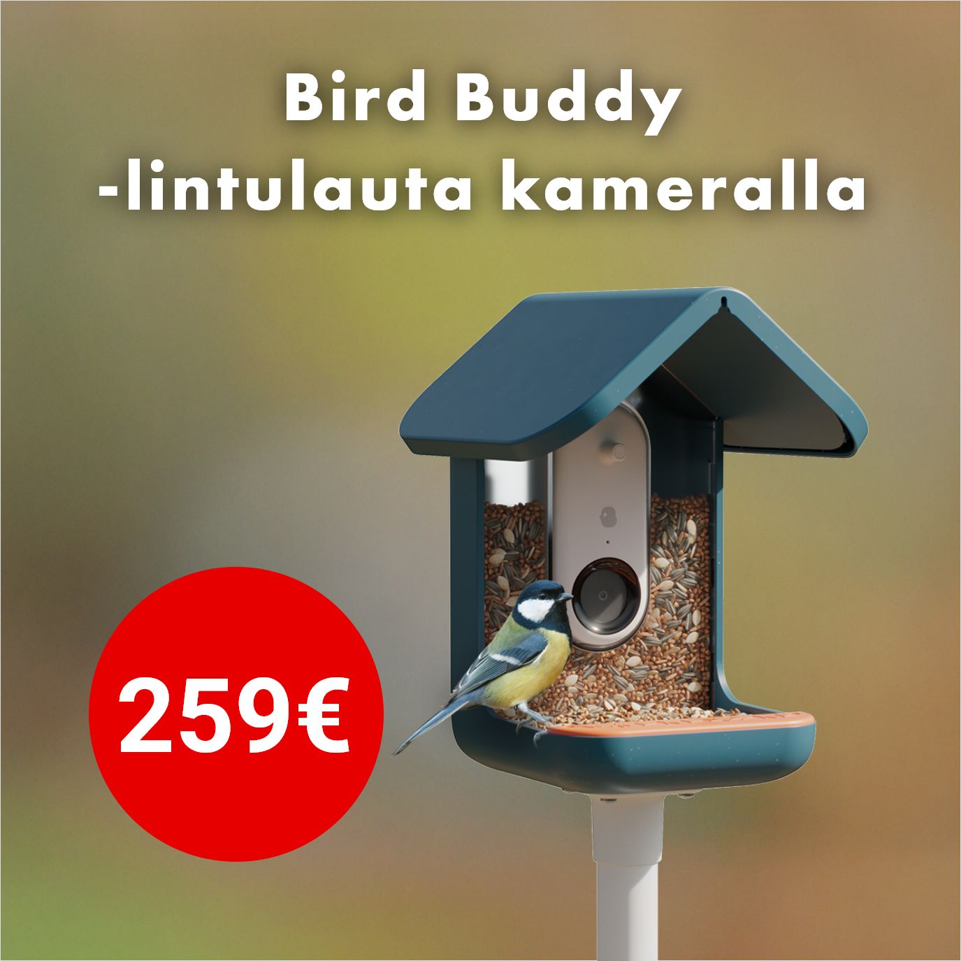 Bird Buddy -lintulauta kameralla 259 €
