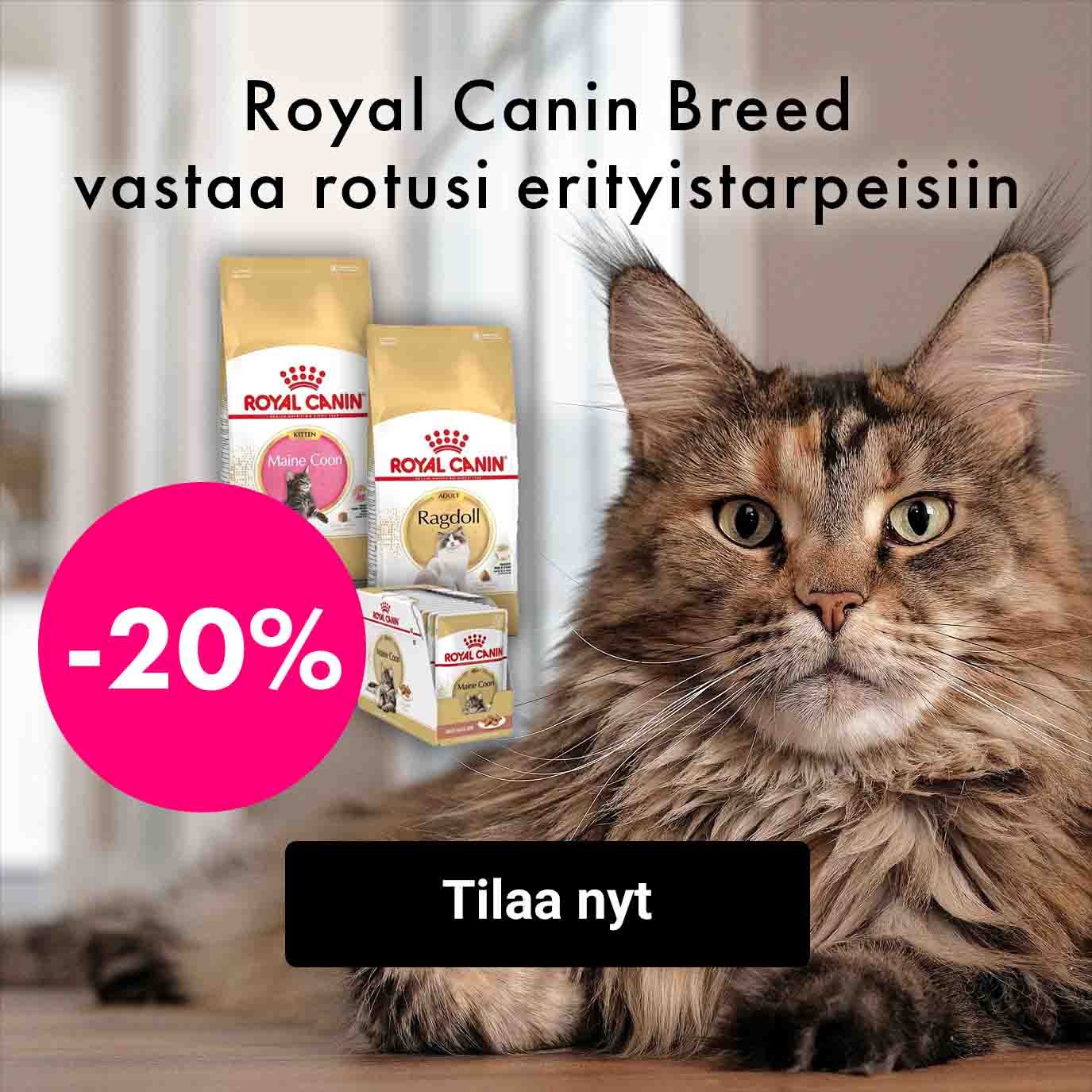 Royal Canin Breed kissoille -20%