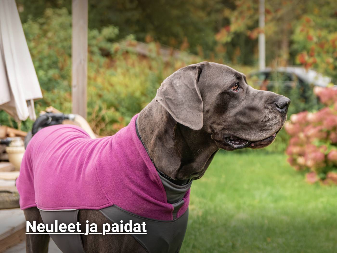 lämpimät neuleet ja paidat koiralle, katso tuotteet