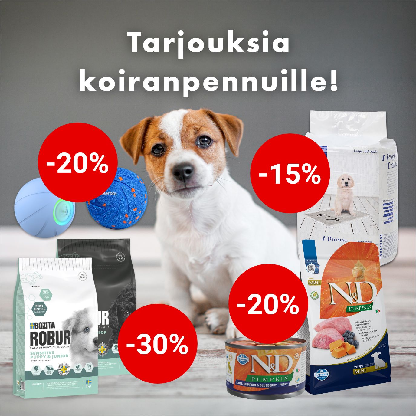 kaikki koiranpennulle