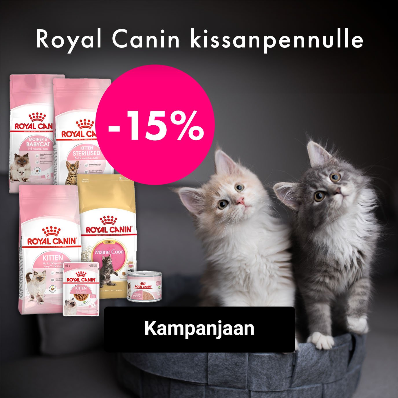Royal Canin Kitten -15%