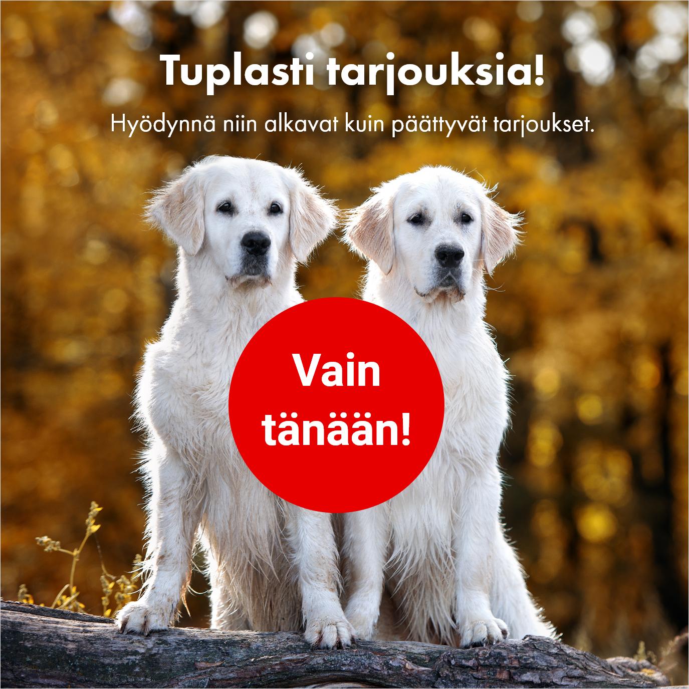 Vain tänään: tuplasti tarjouksia! Hyödynnä niin alkavat kuin päättyvät tarjoukset.