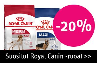 Royal Canin SHN -20%