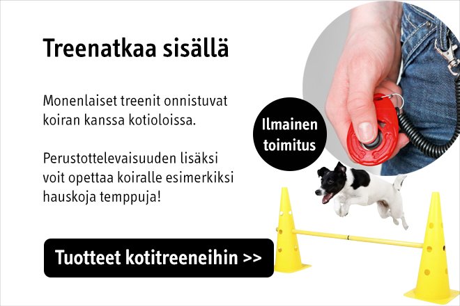 Harrastus ja koulutustuotteet koirille