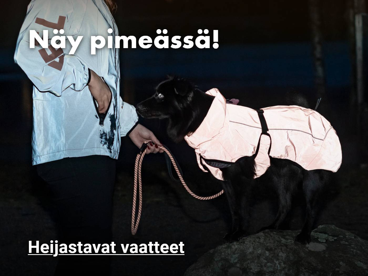 Heijastavat vaatteet koiralle