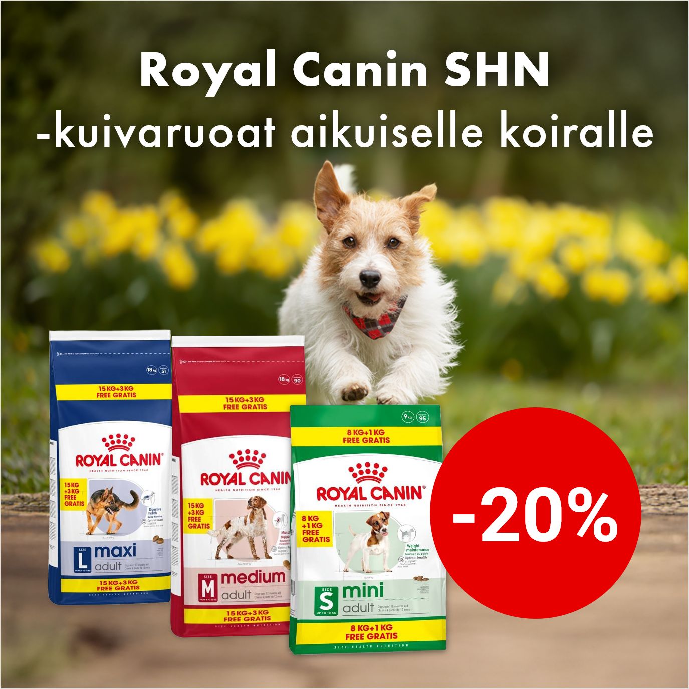 -20% Royal Canin SHN -aikuisen koiran kuivaruoat