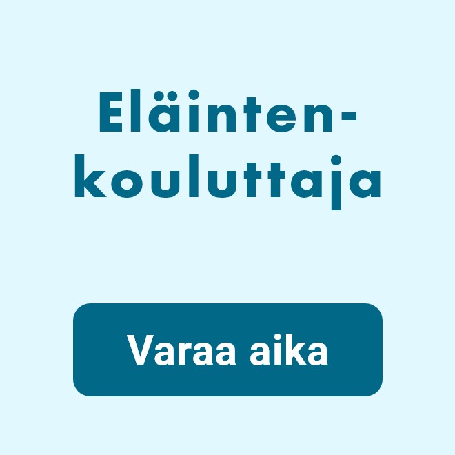 Eläintenkouluttaja