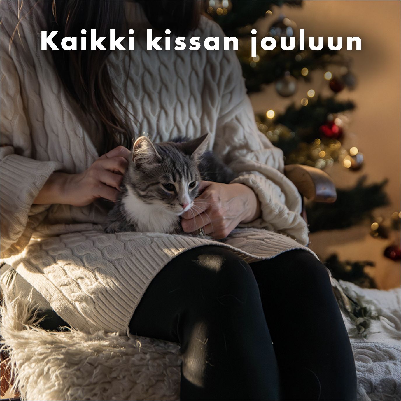 Joululahjaideat lemmikille