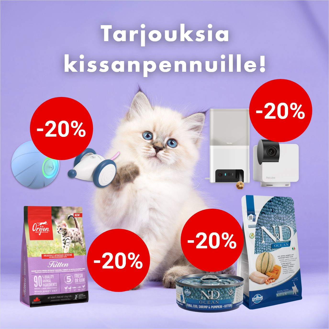 kaikkea kissanpennulle