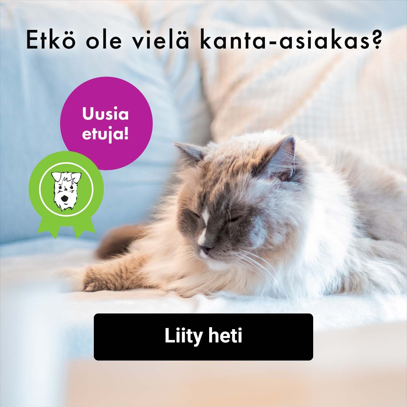 Liity kanta-asiakkaaksi