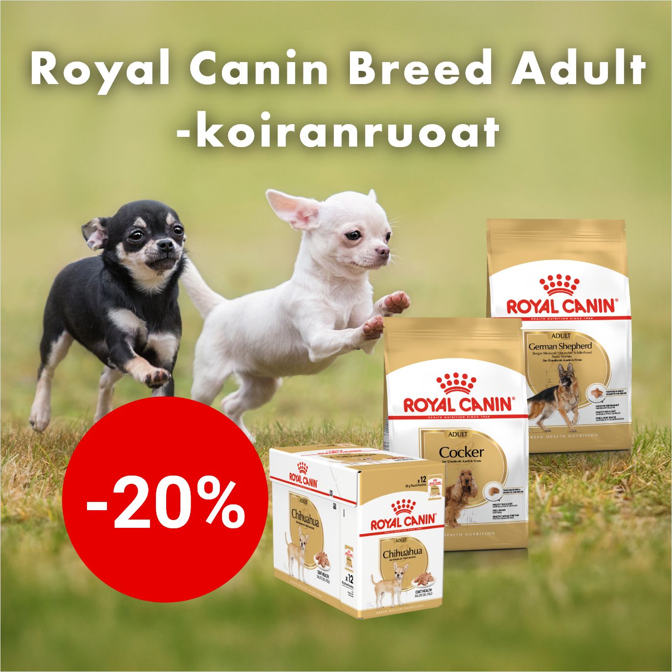 -20% Royal Canin Breed -koiranruoat