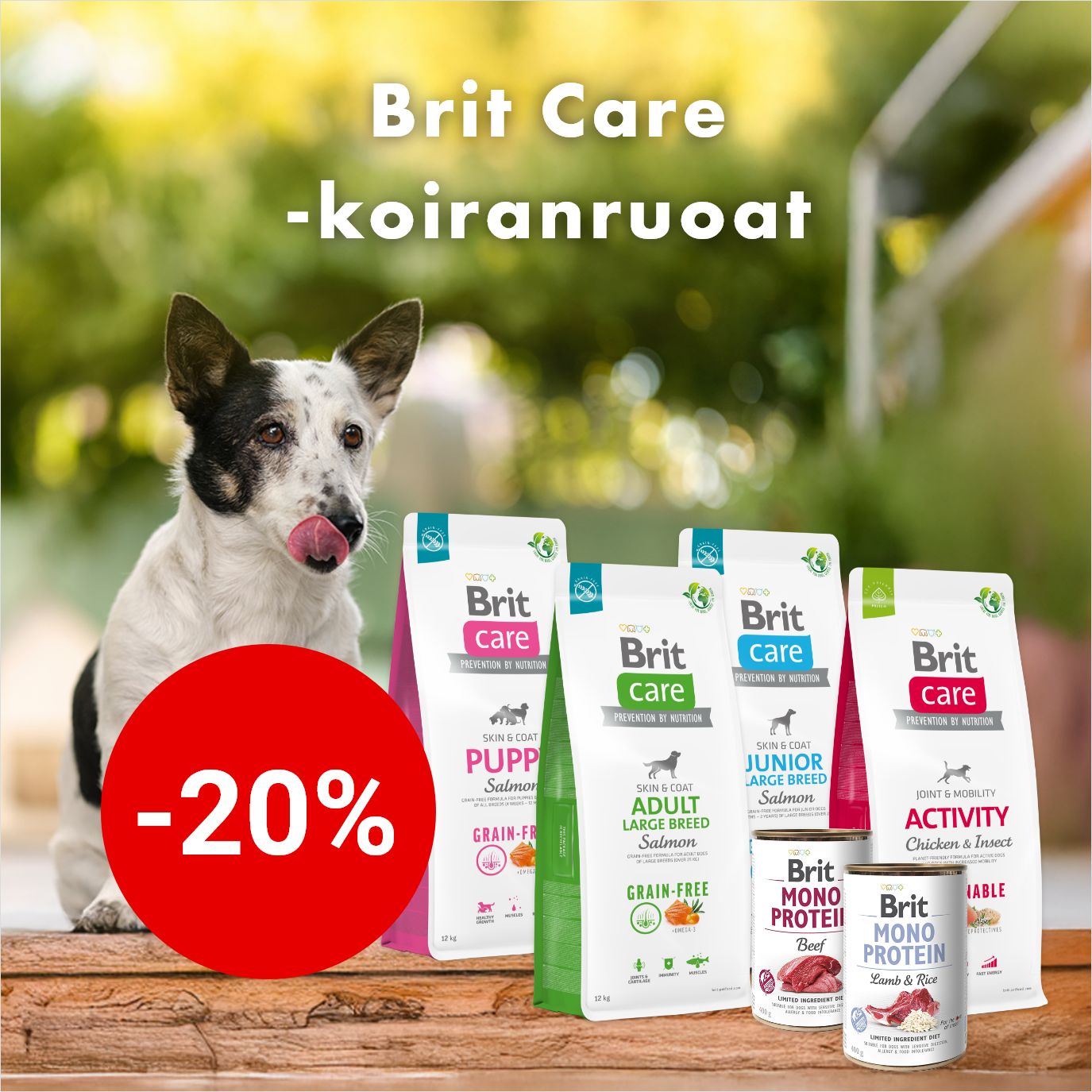 -20% Brit Care -koiranruoat