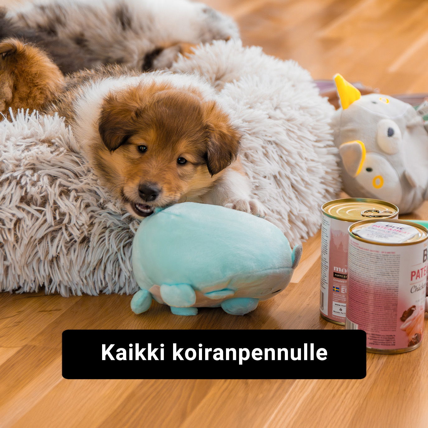 Tuotteet koiranpennulle