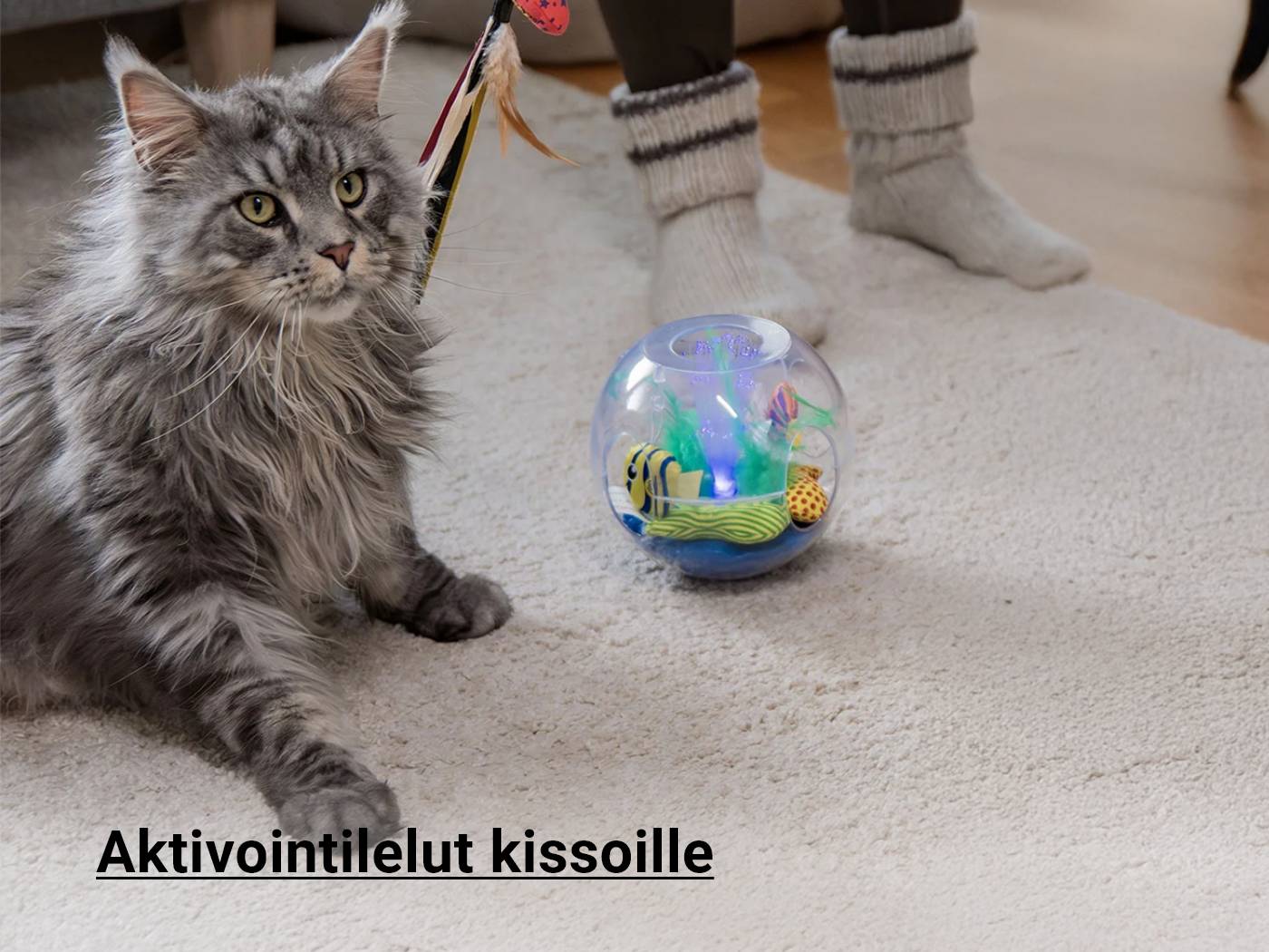 aktivointilelut kissalle