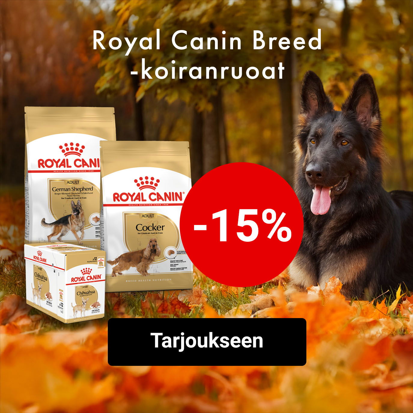 -15% Royal Canin Breed -koiranruoat