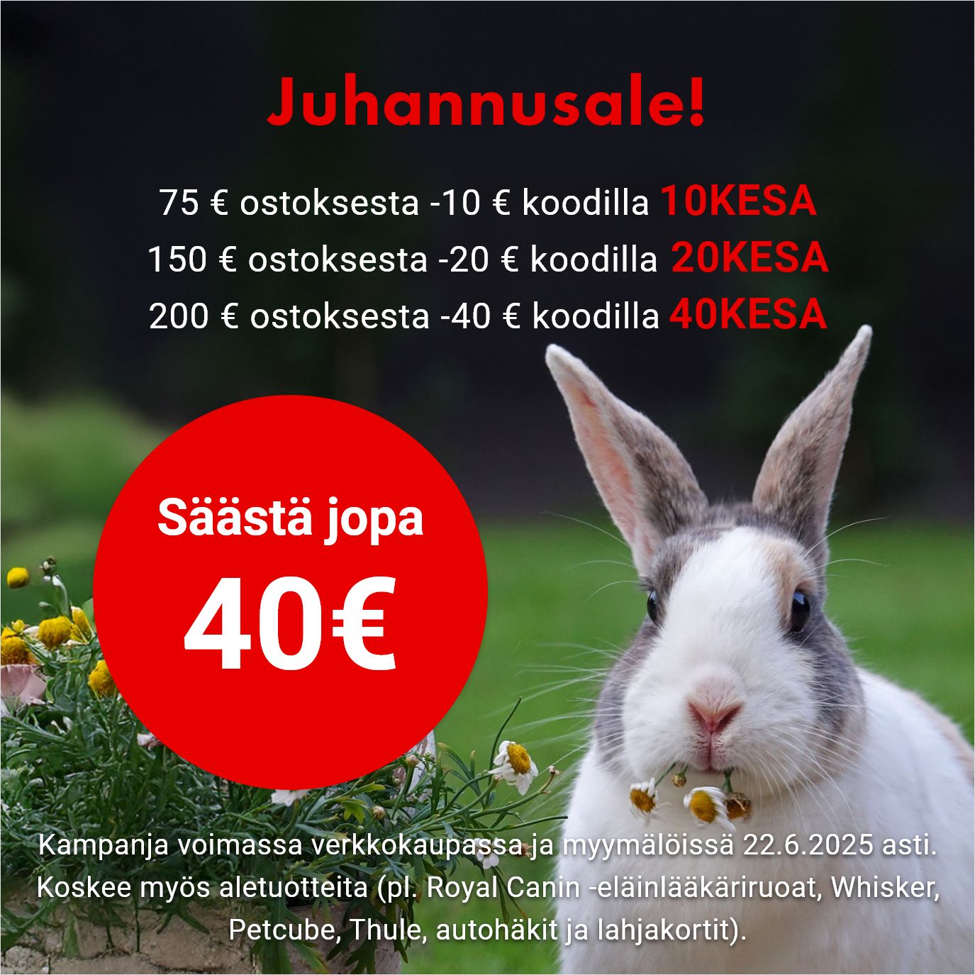 Hyödynnä juhannusalen alekoodit!