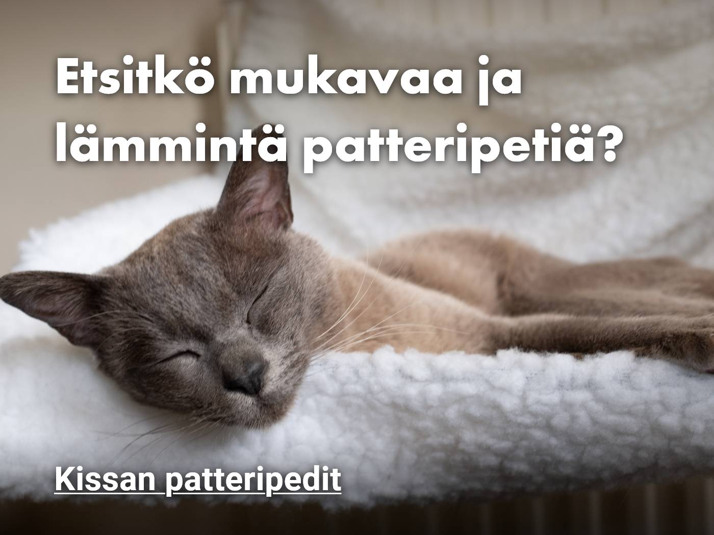Lämpimät kissan patteripedit, tutustu!