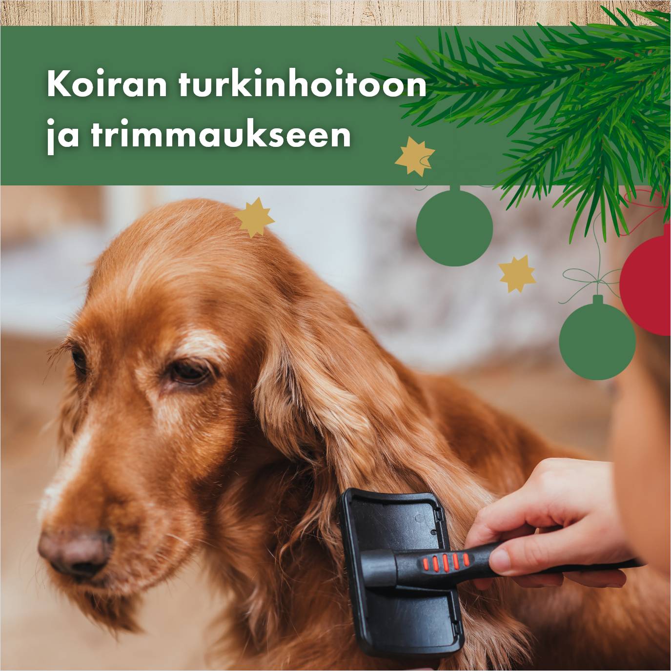 kaikki tuotteet trimmaukseen ja turkinhoitoon