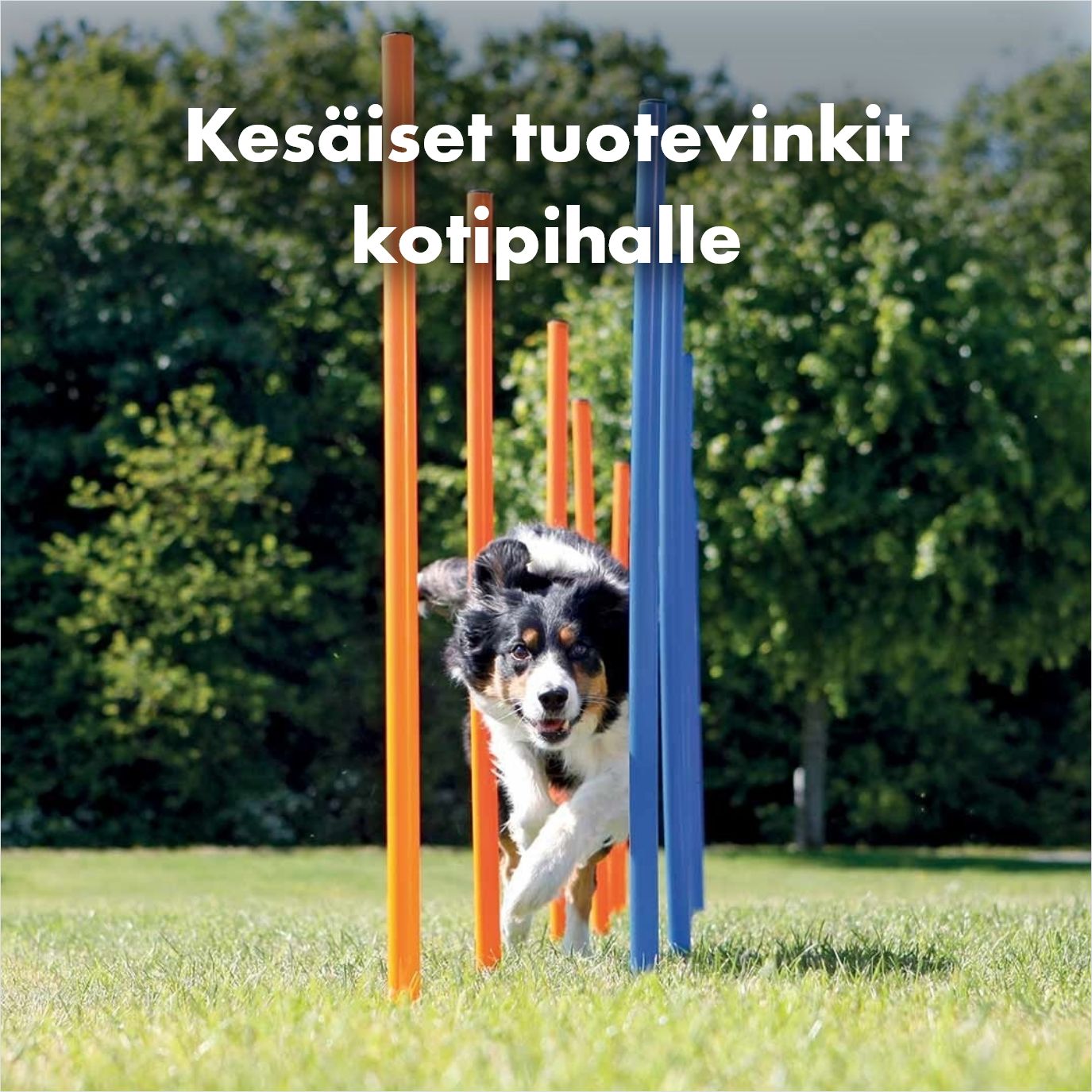 Tuotevinkit kotipihalle