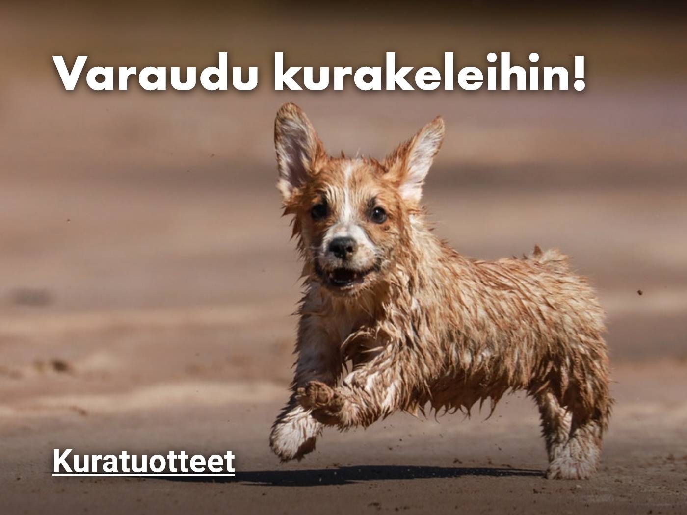 Tuotteet kurakeleille koirille