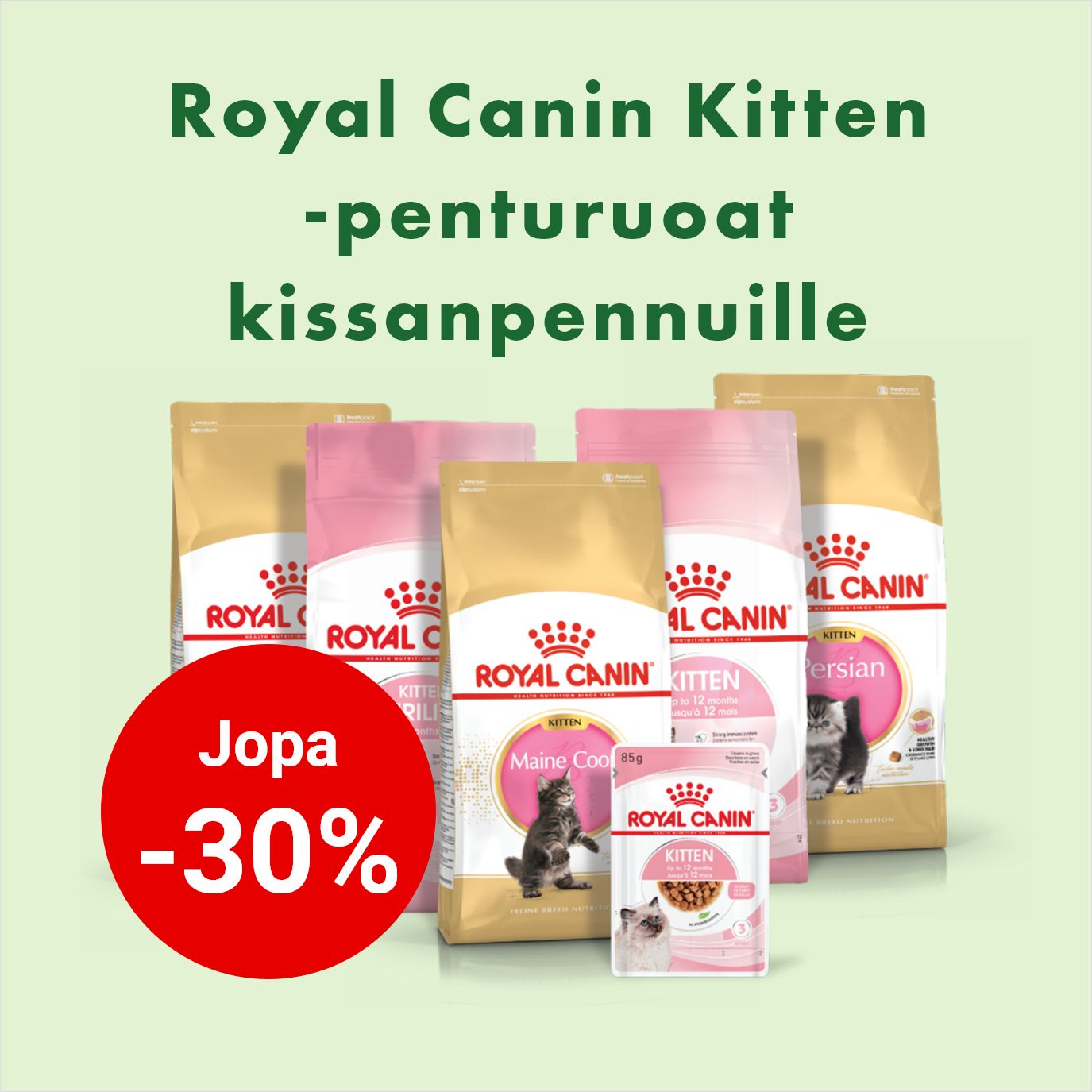 royal canin kitten jopa -30%