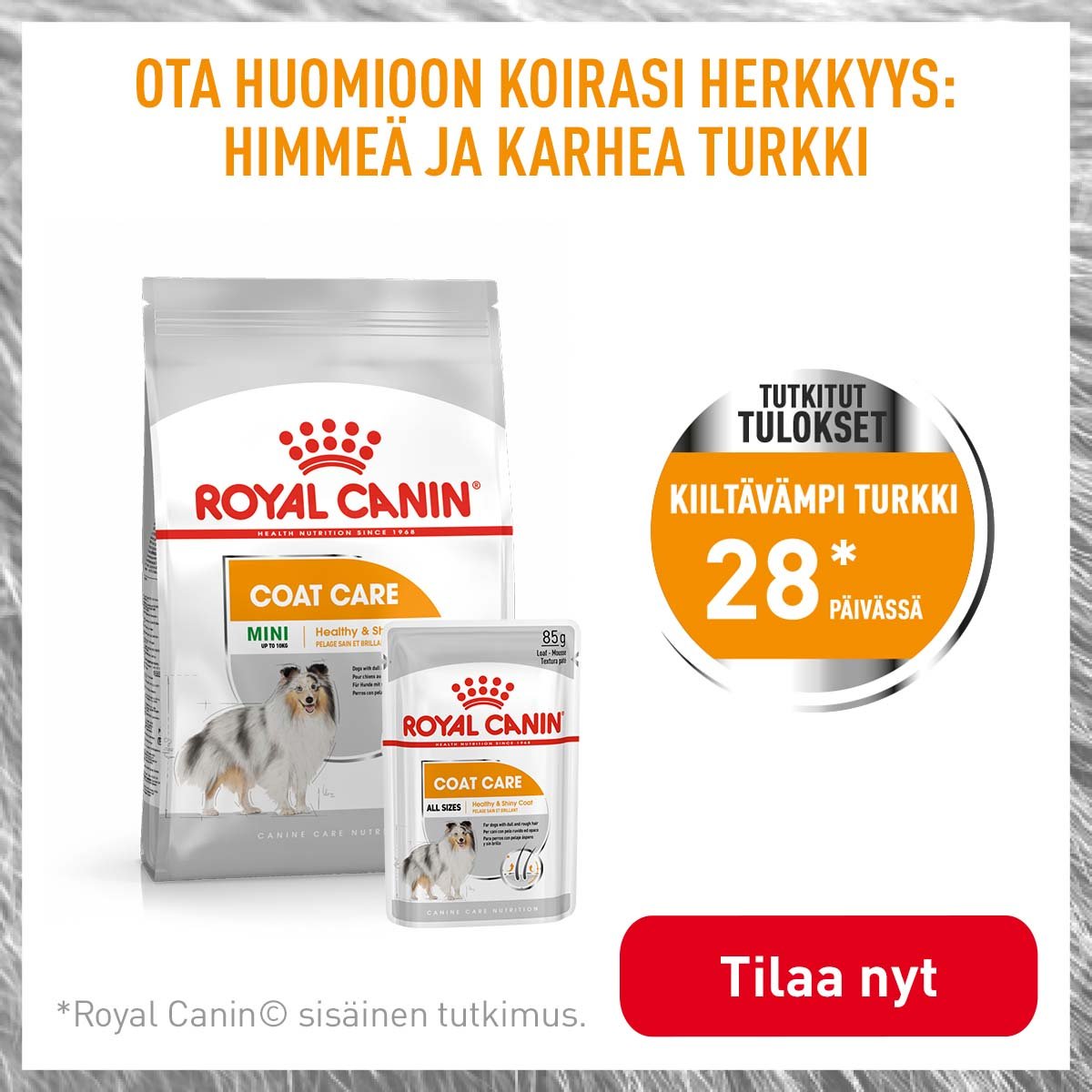 Royal Canin Coat Care koirille
