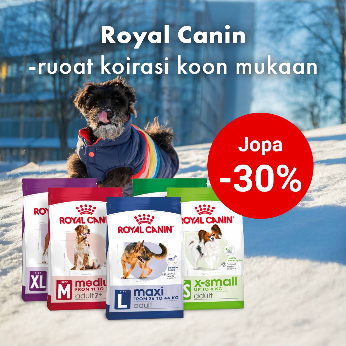 Royal Canin SHN  -kuivaruoat jopa -30% 31.1. asti