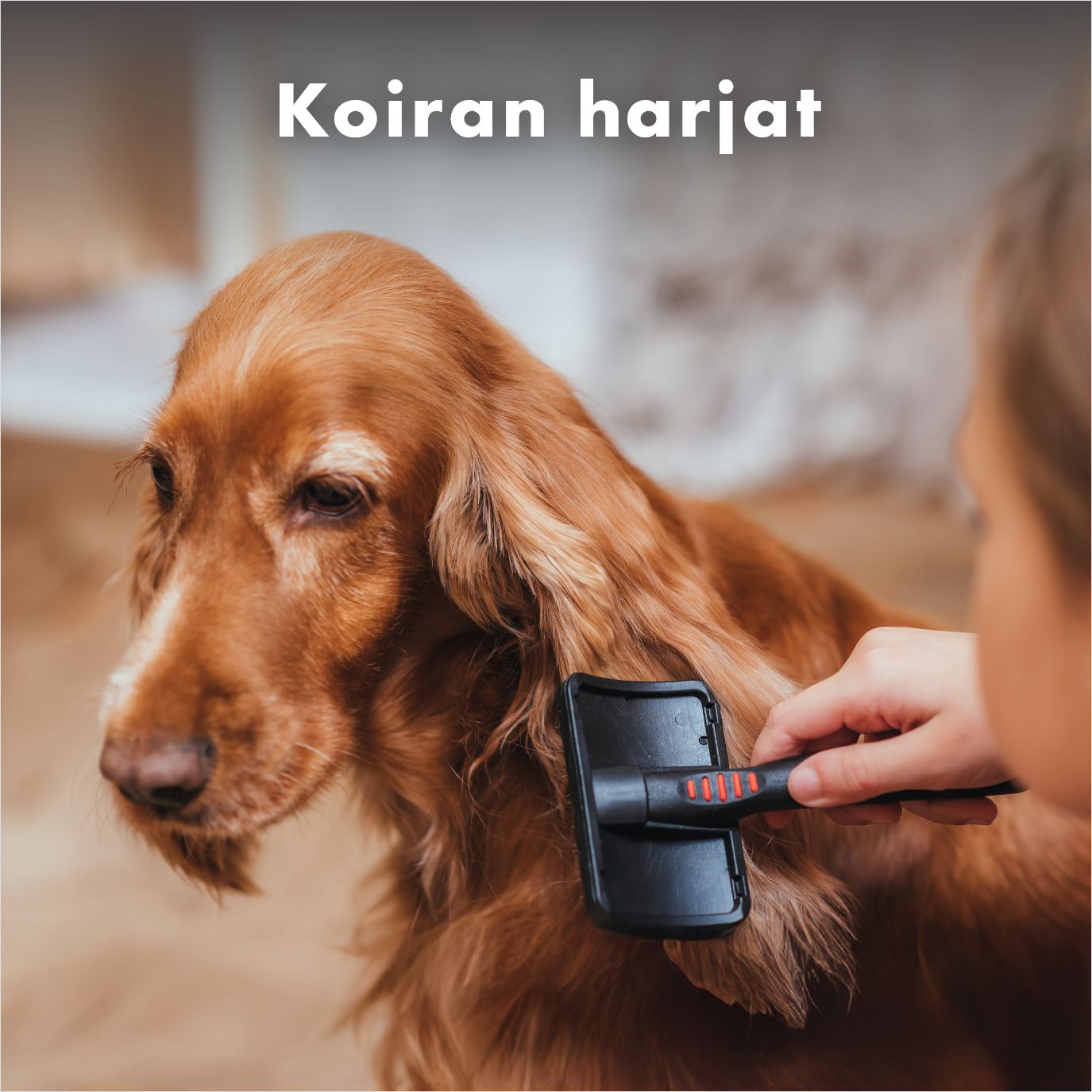 Harjat, karstat ja suat