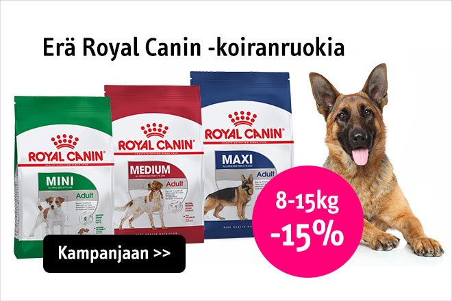 -15 % Royal Canin SHN -koiran ruoat 8-15 kg