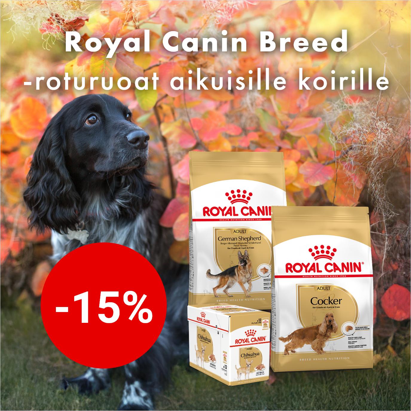 Royal canin breed adult koiranruoat -15% 31.10.2025 asti.