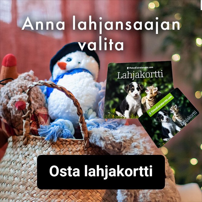 lahjakortit