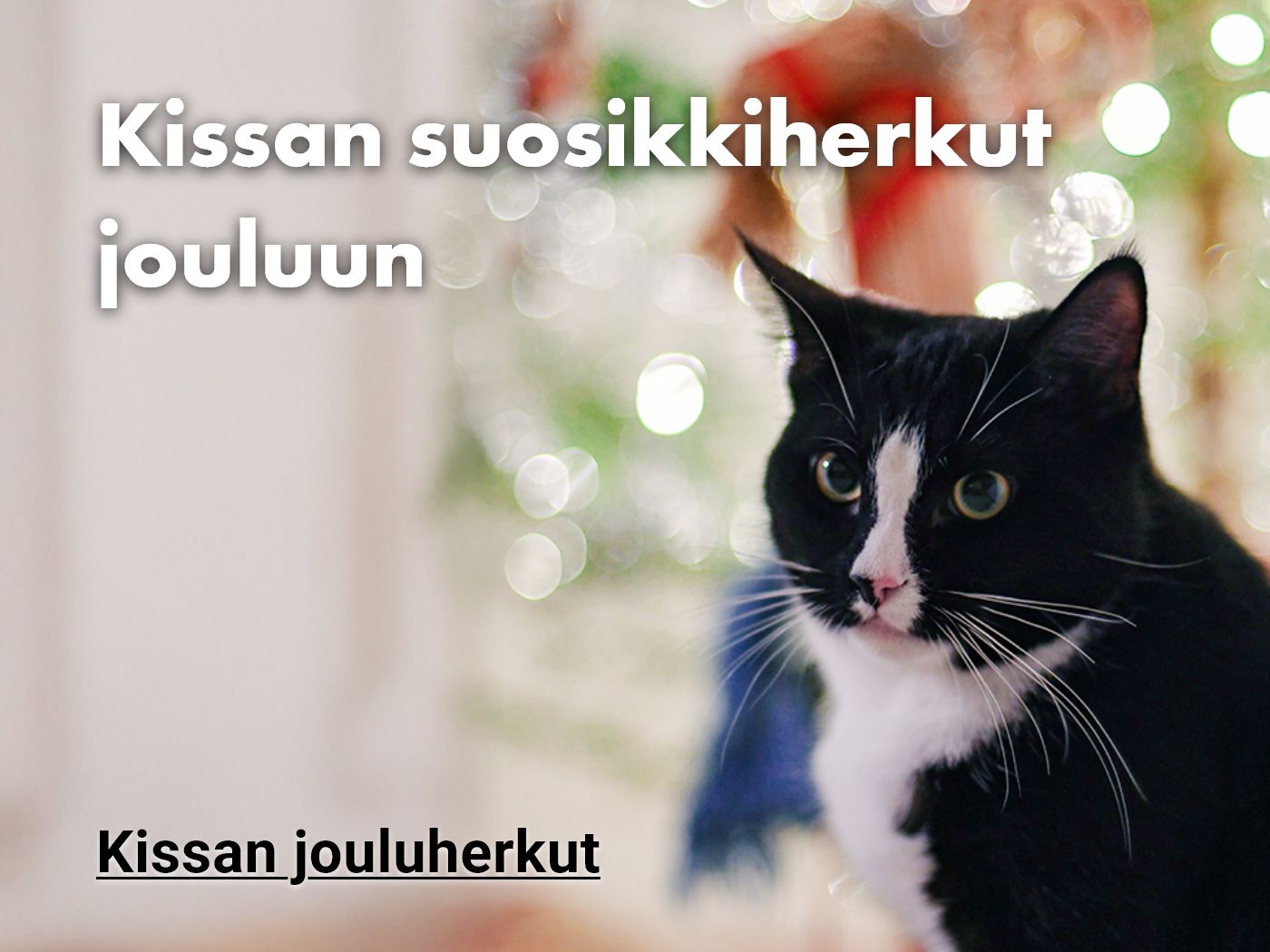 Kissan  joulukalenterit ja herkut 