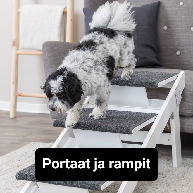 Portaat ja rampit